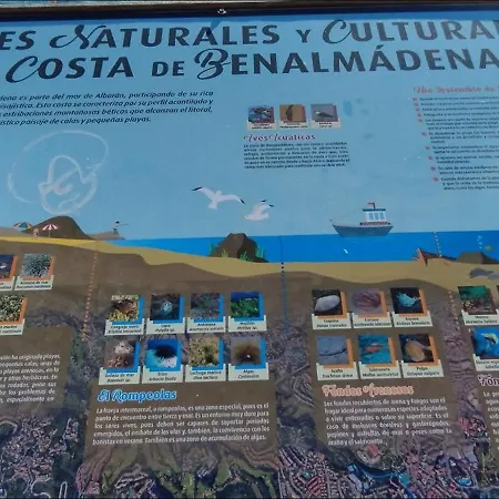 Apartamento The Seven Seas *